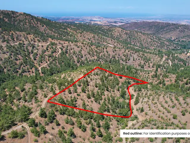 Agricultural Field 19399 m², Επαρχία Λευκωσίας — Άγιος Θεόδωρος Σολέας