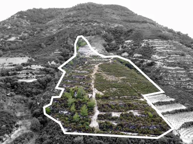 Agricultural Plot 25284 m², Επαρχία Λεμεσού — Άγιος Μάμας