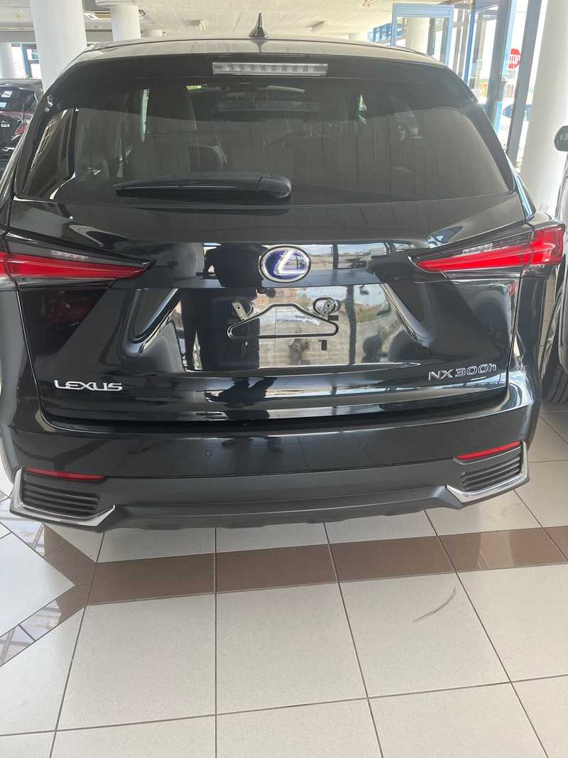 2019 Lexus NX 2,5L 2019 Cyprus