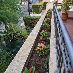 Gardening services,κηπουρικές εργασίες, Επαρχία Λεμεσού — Μονιάτης