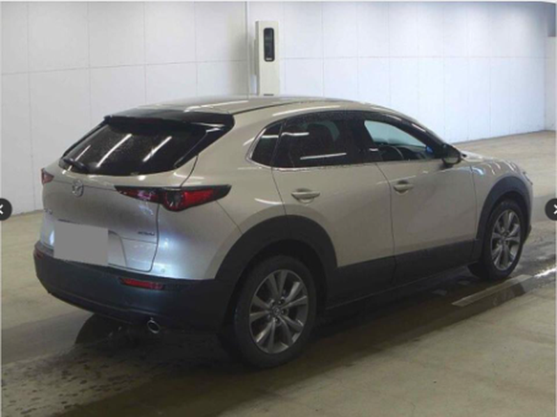 2022 Mazda CX-30 2,0L 2022 Cyprus
