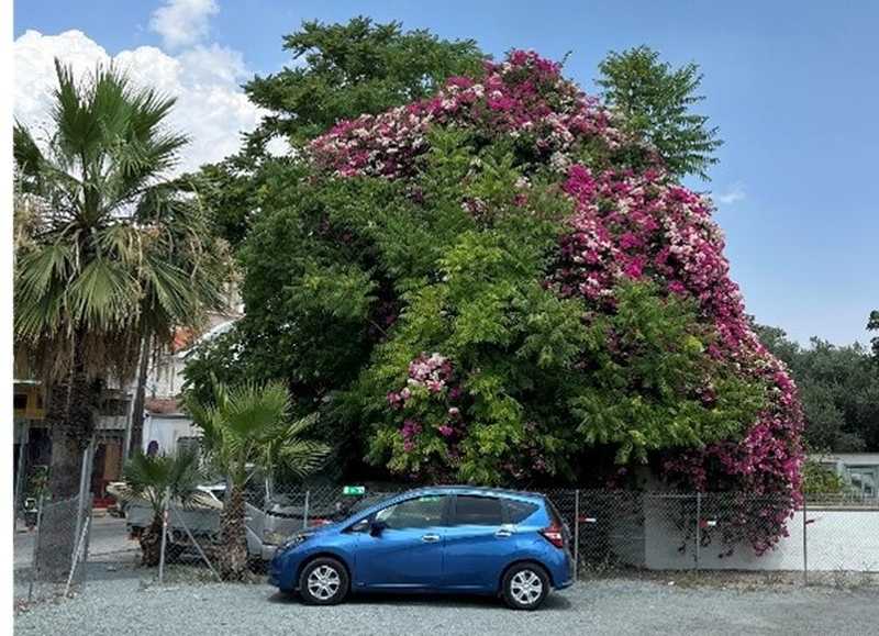 2018 Nissan Note 1,2L 2018 Cyprus