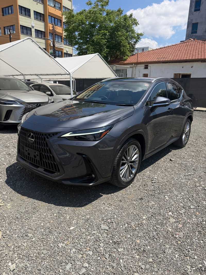 Lexus NX 2,5L 2024