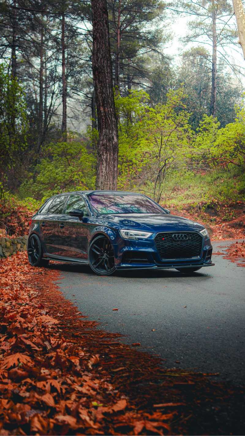 2017 Audi S3 2,0L 2017 Cyprus