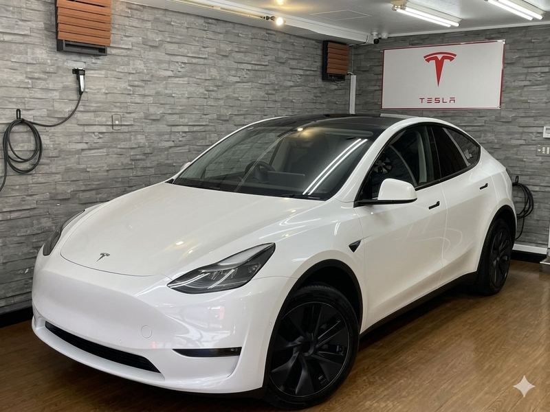Tesla Model Y Electric 2024
