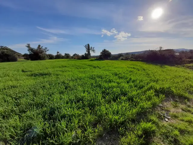 Agricultural Field 1393 m², Larnaca — Choirokoitia