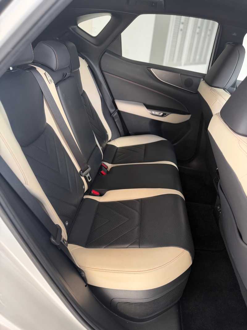 2022 Lexus NX 2,5L 2022 Cyprus
