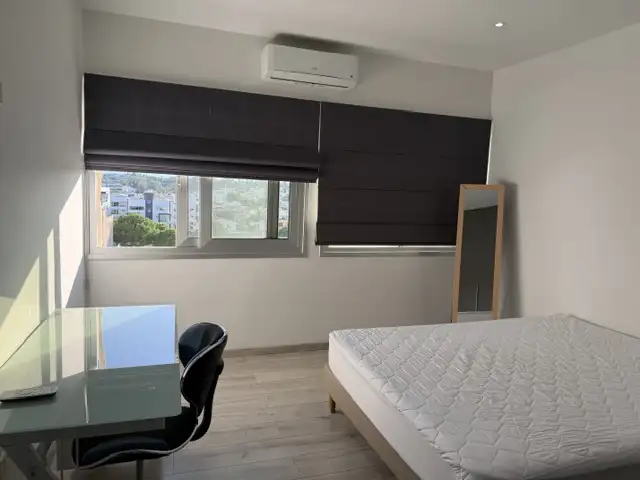  2-bedroom penthouse to rent, Nicosia — Egkomi - 6