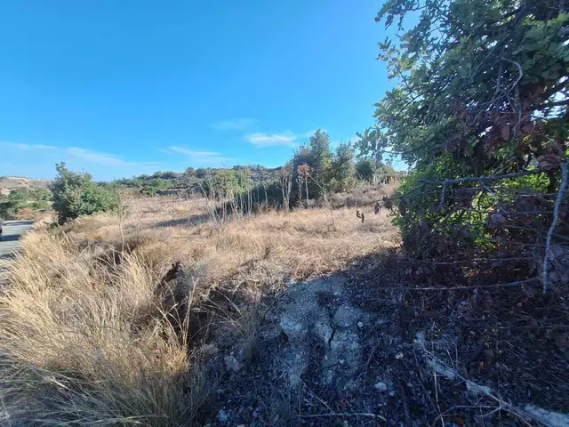 Residential Field 1750 m², Επαρχία Λάρνακας — Τόχνη