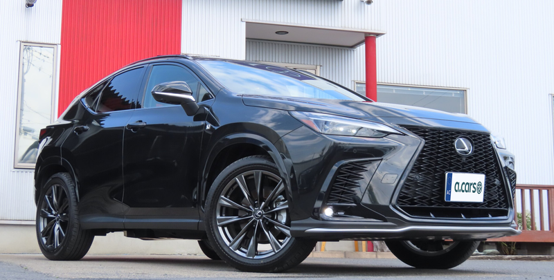 Lexus NX 2,5L 2024