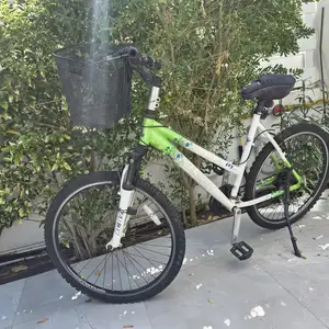 Bicycle, Larnaca — Oroklini Tourist Area