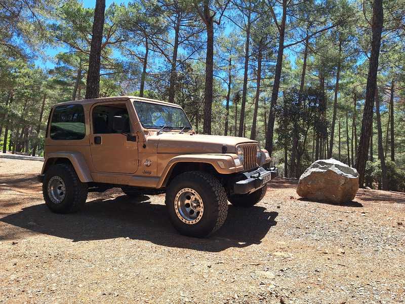 1999 Jeep Wrangler 4,0L 1999 Cyprus