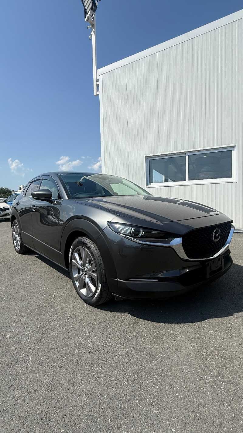 Mazda CX-30 2,0L 2021