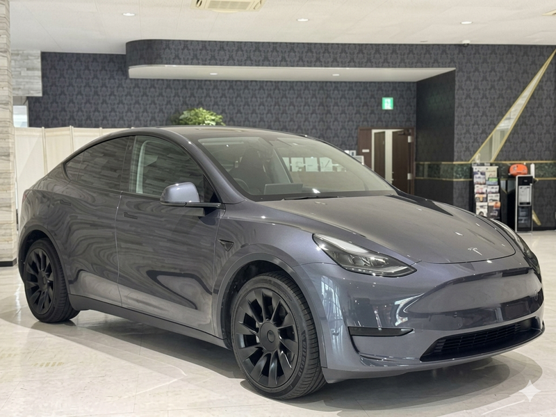 Tesla Model Y Electric 2022