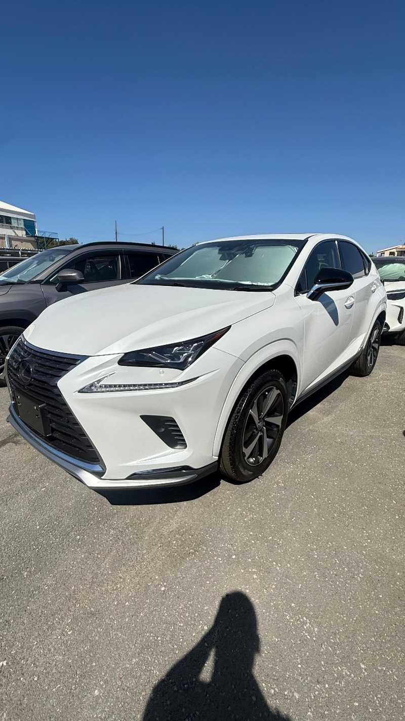 2022 Lexus NX 2,5L 2022 Cyprus