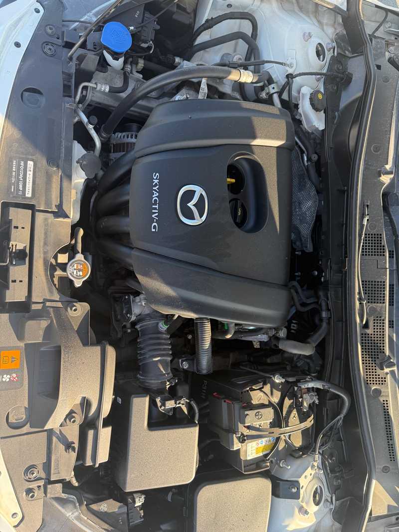 2021 Mazda 2 1,5L 2021 Cyprus