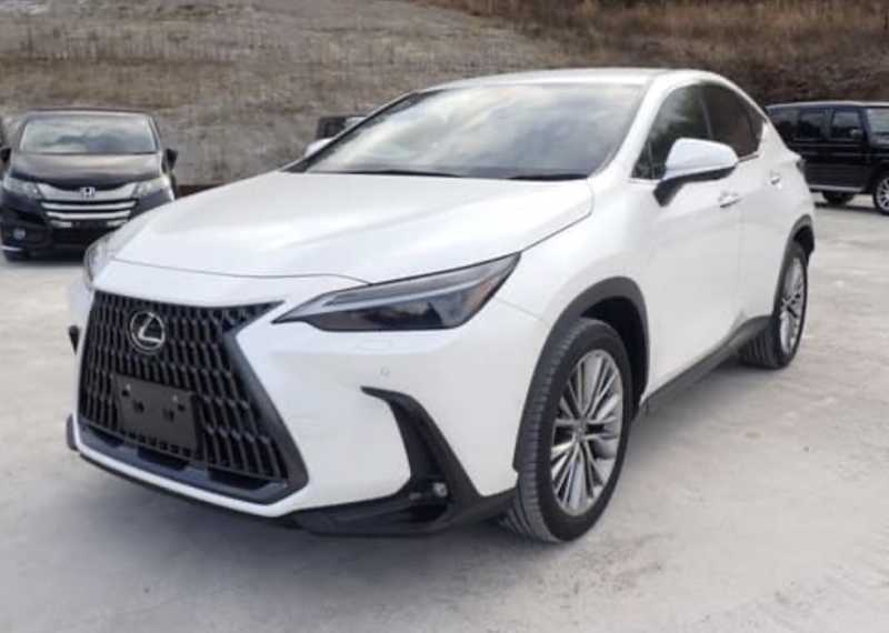 Lexus NX 2,5L 2024