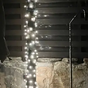 Garden string lights, Limassol — Pissouri