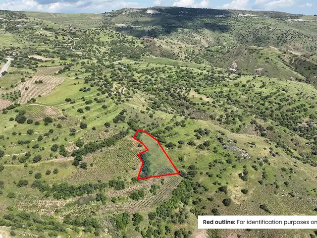 Residential Field 2676 m², Paphos — Statos - Agios Fotios