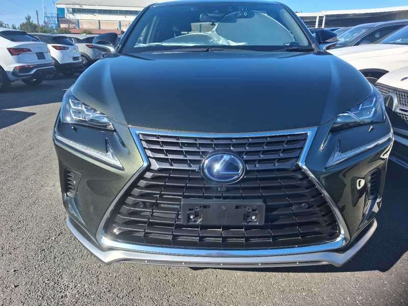 Lexus NX 2,5L 2022