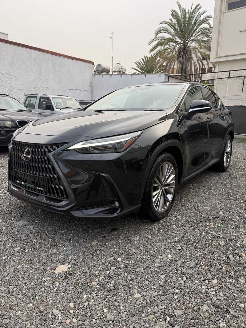 2023 Lexus NX 2,5L 2023 Cyprus