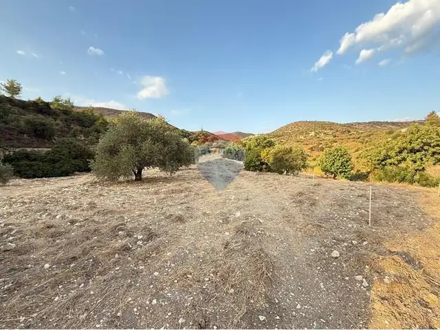 Residential Plot 9031 m², Επαρχία Λεμεσού — Μαθηκολώνη