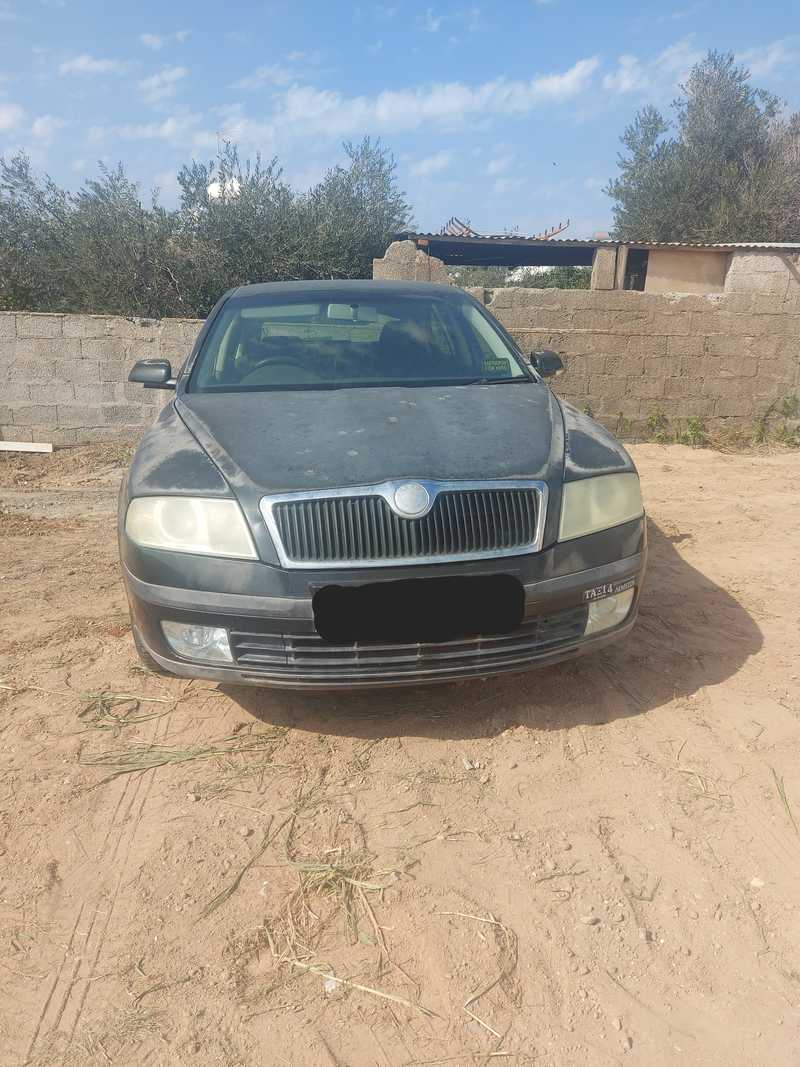 Skoda Octavia 1,9L 2006