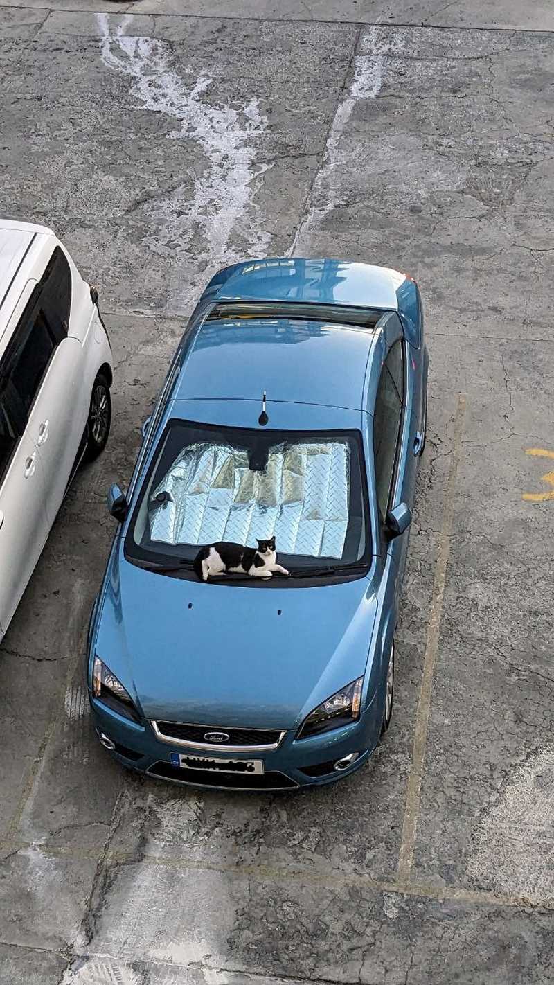 2006 Ford Focus CC 2,0L 2006 Cyprus