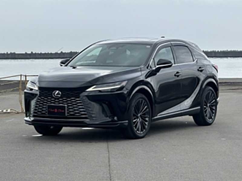 Lexus RX 2,5L 2024