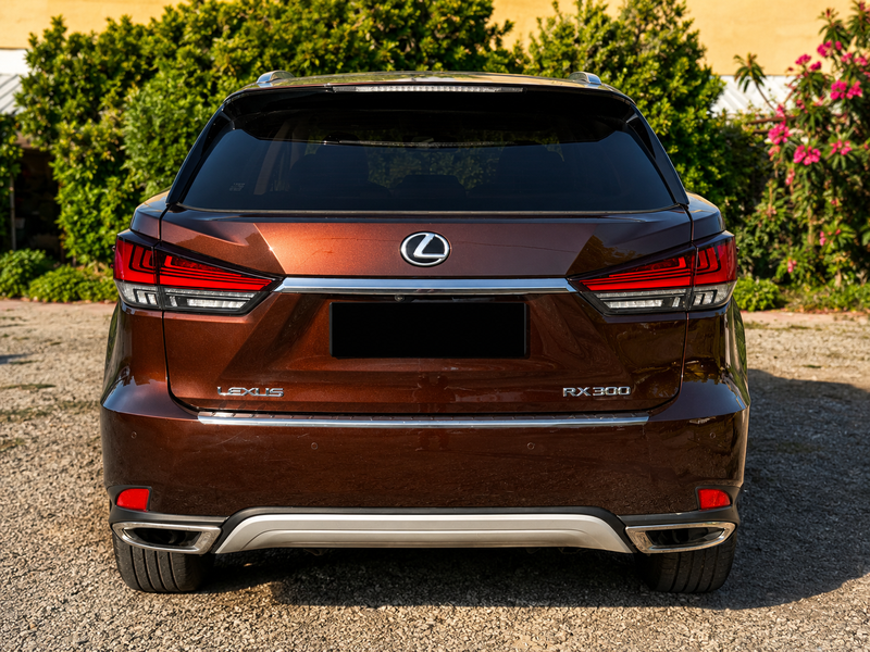 2020 Lexus RX 2,0L 2020 Cyprus