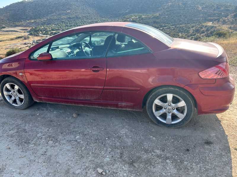 2008 Peugeot 307 1,6L 2008 Cyprus