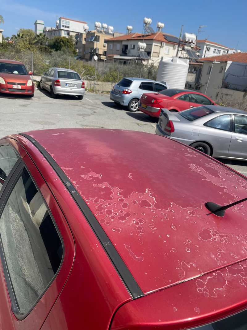2004 Peugeot 307 1,4L 2004 Cyprus