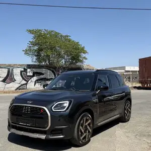 Mini Countryman S