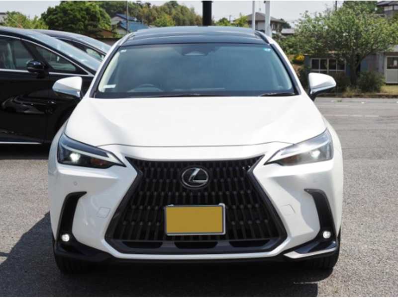2025 Lexus NX 2,5L 2025 Cyprus