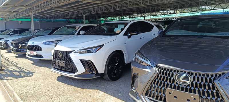 2024 Lexus NX 1,8L 2024 Cyprus