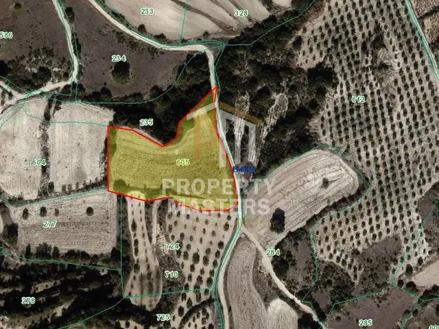 Agricultural Field 6857 m², Επαρχία Πάφου — Λεμώνα