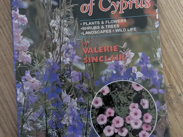 The floral charm of cyprus 10, Limassol — Germasogeia