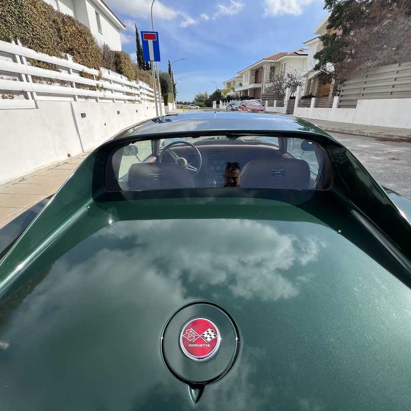 1976 Chevrolet Corvette 5,9L 1976 Cyprus