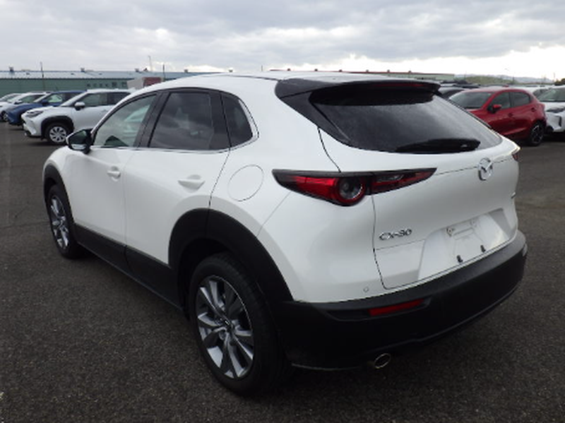 2023 Mazda CX-30 2,0L 2023 Cyprus