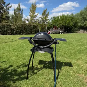Weber q1200, Nicosia — Latsia - Archangelos Michail