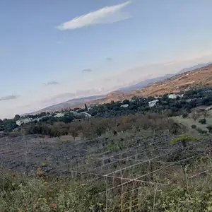 Σωλήνες για κλιματαριές, Επαρχία Πάφου — Paphos - Άγιος Θεόδωρος