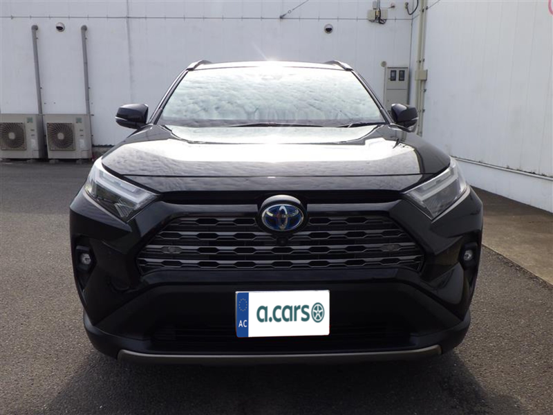 2022 Toyota RAV4 2,5L 2022 Cyprus