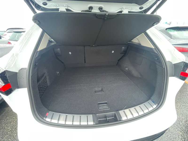 2026 Lexus NX 2,5L 2026 Cyprus