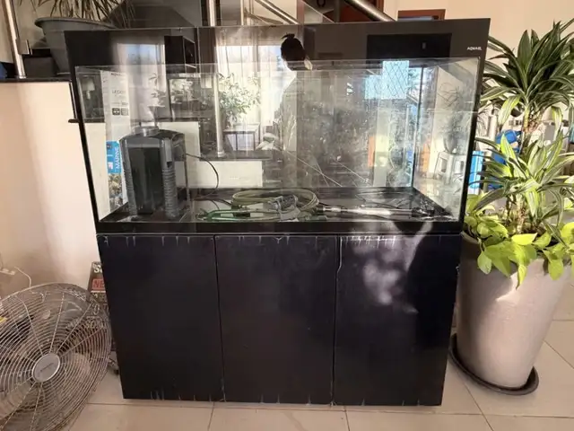Aquarium & equipment, Larnaca — Perivolia Larnakas