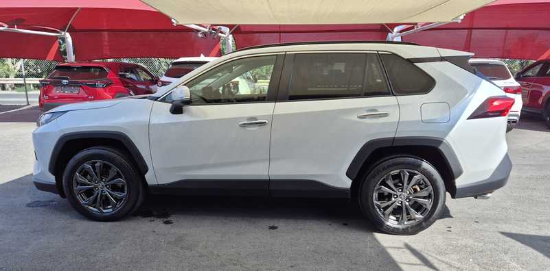 2022 Toyota RAV4 2,5L 2022 Cyprus