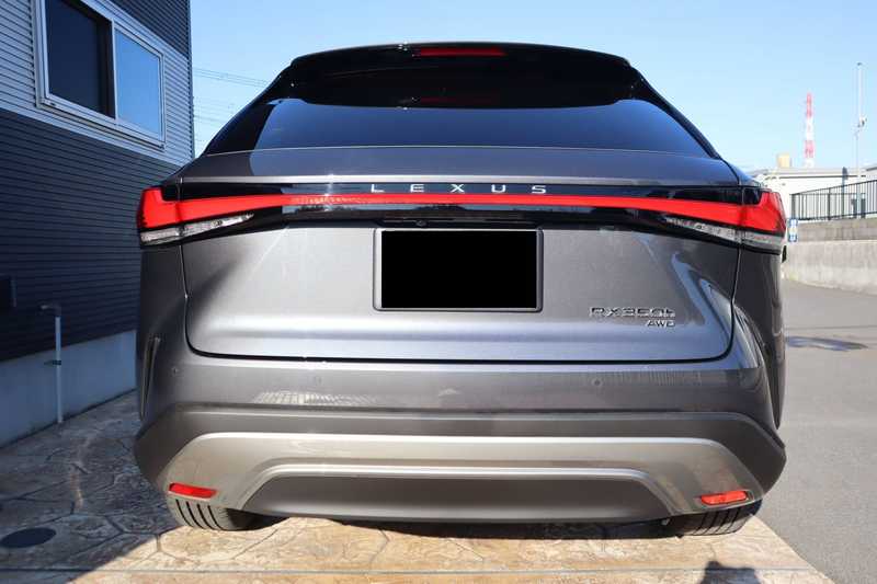 2024 Lexus RX 2,5L 2024 Cyprus
