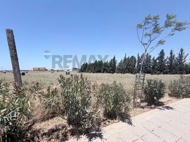 Commercial Field 11359 m², Limassol — Polemidia - Archangelos Michail