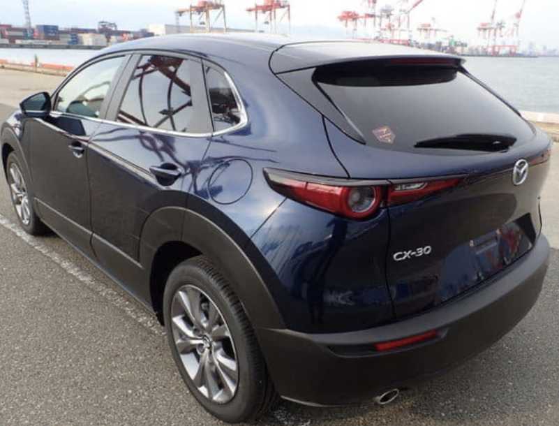 2024 Mazda CX-30 2,0L 2024 Cyprus