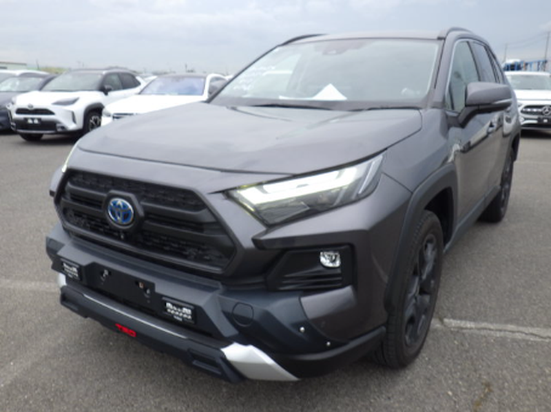 2023 Toyota RAV4 2,5L 2023 Cyprus