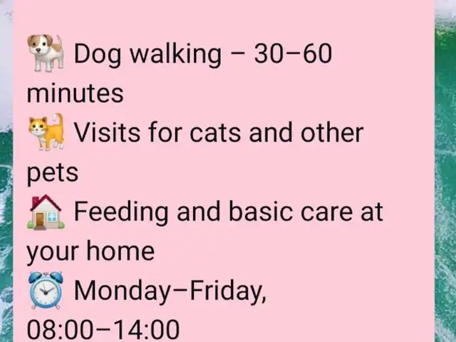 Dog walking pet, Nicosia — Egkomi